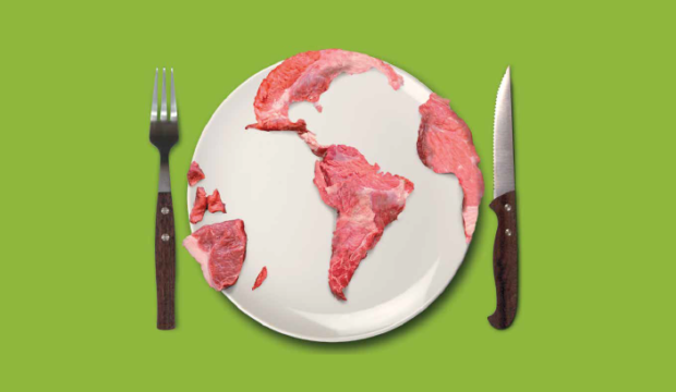 Impactos da carne no meio ambiente