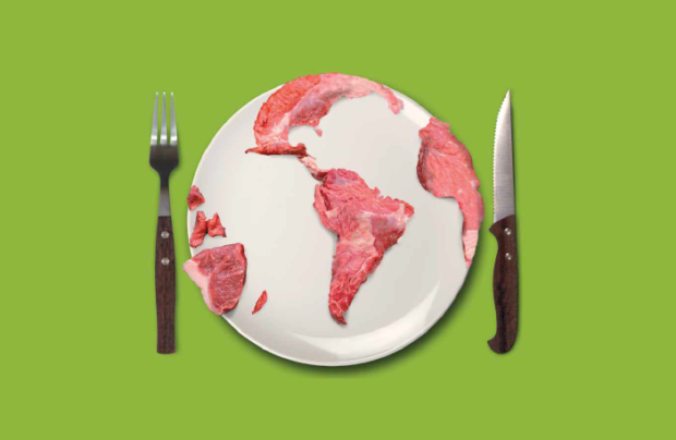 Impactos da carne no meio ambiente