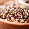 Mix de Quinua 500g Embalagem refil Wvegan Quinoa - Imagem 2
